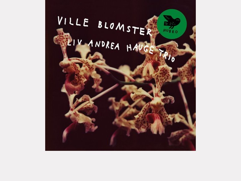 LIV ANDREA HAUGE TRIO . Ville blomster