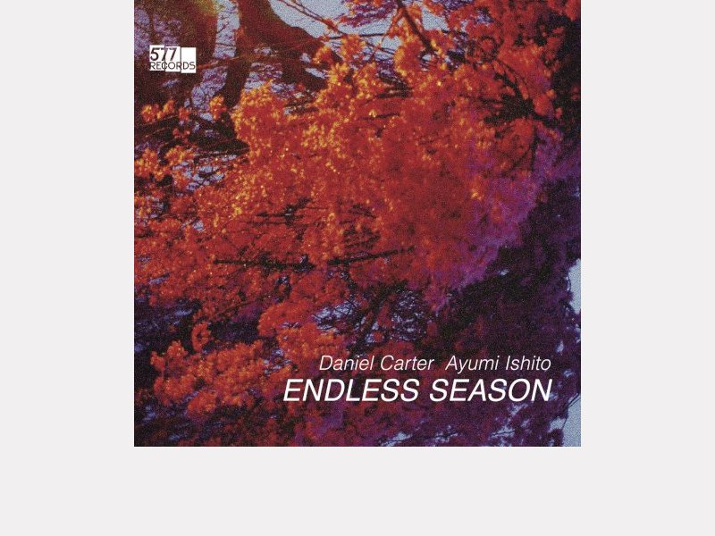 DANIEL CARTER – AYUMI ISHITO . Endless Season