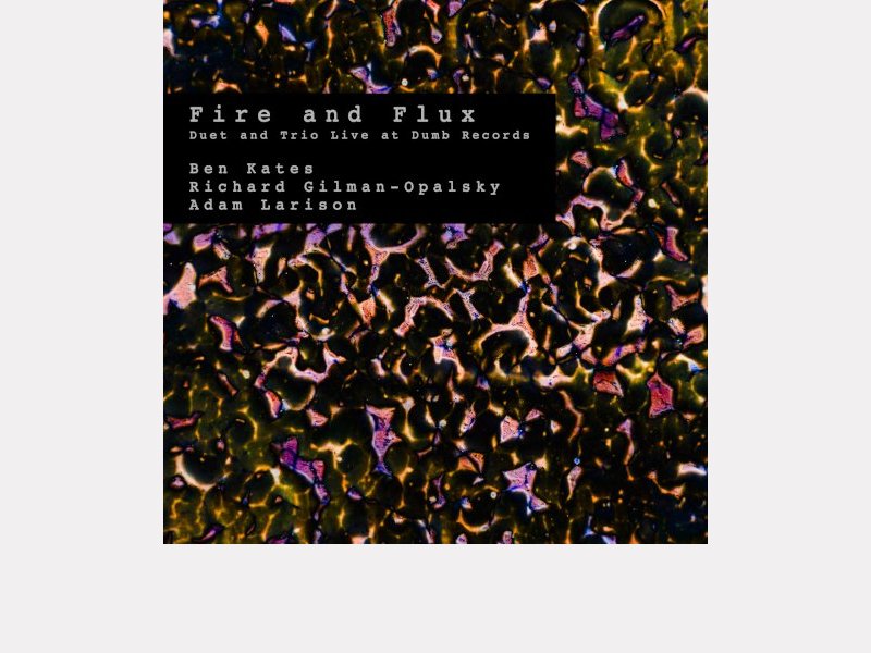 FIRE & FLUX . Duet and Trio Live at Dumb Records