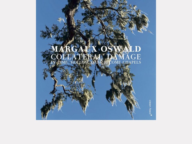 MARGAUX OSWALD COLLATERAL DAMAGE . In Time, Hollow Oaks Become Chapels