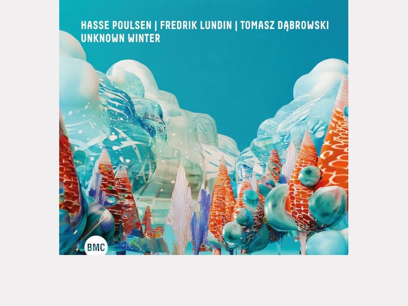 HASSE POULSEN - FREDRIK LUNDIN - TOMASZ DĄBROWSKI . Unknown Winter