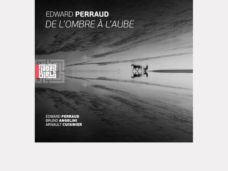 EDWARD PERRAUD . De l'ombre à l'aube