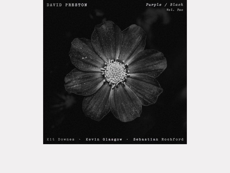DAVID PRESTON . Purple / Black Vol. Two